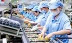 Xuất khẩu hướng tới 1.000 tỷ USD: Động lực tăng trưởng nằm ở đâu?