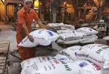 Các doanh nghiệp ngành phân bón, hóa chất làm ăn ra sao trong năm 2025