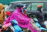 Tin không khí lạnh mới nhất: Miền Bắc đón đợt mưa rét vào đầu tuần tới?