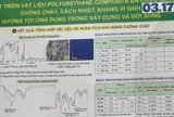 Viện Hóa học nói gì về dự án đoạt giải nhất cuộc thi KHKT cấp quốc gia nghi đạo văn?