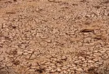 Khả năng xuất hiện El Nino rất mạnh, kéo sang 2027, nguy cơ thiếu hụt nguồn nước từ đầu mùa