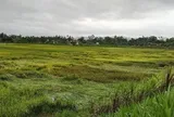 Dông lốc kèm mưa đá trút xuống, nhiều xã ở Hà Tĩnh chịu thiệt hại nặng