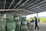 Bắt giữ 4 container hàng giả thương hiệu Louis Vuitton, Rolex, Chanel
