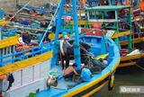 "Khoác áo" nhận diện cho tàu cá, Lâm Đồng hướng tới phát triển bền vững nghề cá