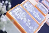 Dự báo giá bạc mới nhất sau cú sập mạnh cuối tuần