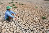 El Nino có thể mạnh như 10 năm trước, Việt Nam đối mặt kịch bản khô hạn ra sao?