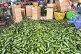 Bơ đặc sản từng ‘gây sốt’ nay rớt giá thê thảm