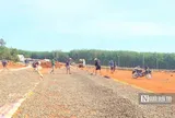Hạt điều Việt và cuộc chuyển mình khỏi "lời nguyền gia công" - Kỳ 2: Ai hưởng lợi lớn nhất?