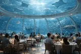 Việt Nam sắp có thêm một công trình lớn nhất thế giới: Công viên thủy cung rộng 24ha, có sức chứa hơn 450 triệu lít nước