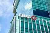 BIC sắp chi hơn 240 tỷ đồng trả cổ tức năm 2025