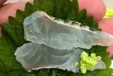 Một loại cá rẻ bèo bán đầy chợ Việt Nam, dinh dưỡng vượt cá hồi, được người Nhật tăng mua để làm sashimi