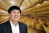 Đàn gà của tỷ phú Trần Đình Long giờ ra sao?