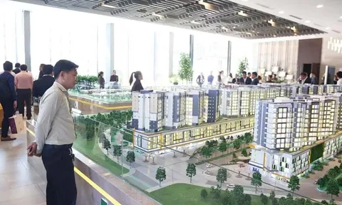 Trung bình một gia đình không chi tiêu gì, mất hơn 27 năm mới mua được nhà