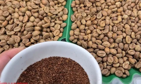 Giá cà phê hôm nay 28-1: Tăng nóng