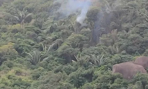 Sự cố máy bay YAK-130 rơi tại Đắk Lắk: Phi công điều khiển máy bay tránh xa khu dân cư