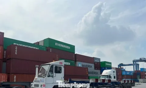 1.200 container hàng hóa ùn ứ tại cảng Cát Lái