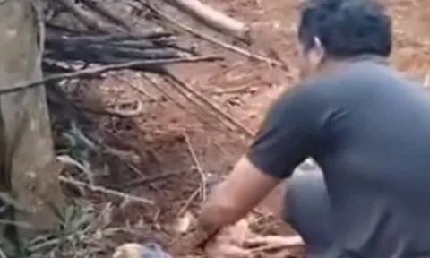 Xác định được người mẹ bỏ rơi con sơ sinh trong rẫy vắng