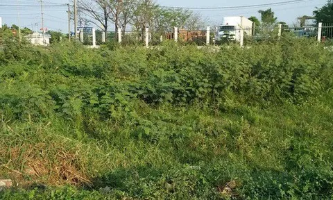 Người dân chuyển đất nông nghiệp sang đất ở trước năm 2026 sẽ được hoàn lại tiền