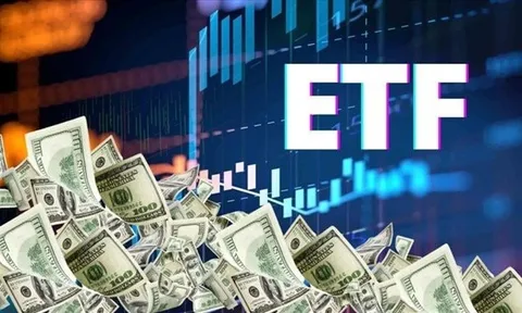Các quỹ ETF tại Việt Nam bất ngờ hút tiền trở lại trong tháng 1