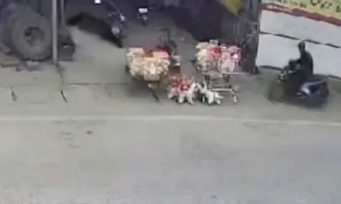 Hai trẻ bị tài xế 'ma men' tông văng khi đang chơi trước nhà, một cháu tử vong