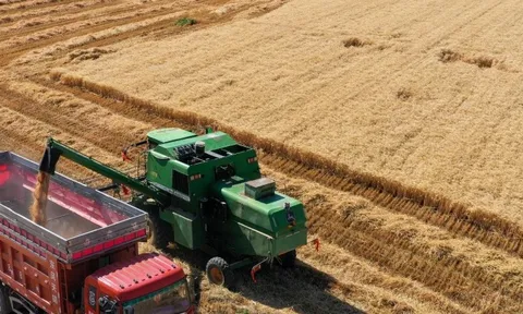 "Mỏ vàng" giữa lòng sa mạc: Quốc gia cạnh Việt Nam biến "biển tử thần" thành kho báu cho hơn 1,4 tỷ người