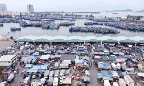 Cảng cá lớn nhất miền Trung sẽ thành cảng du lịch