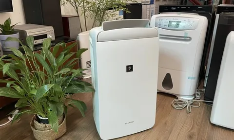 Món đồ hot nhất lúc này, đại lý nhập gấp 10 lần vẫn không kịp bán