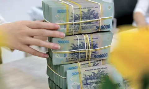 Lý do nhiều doanh nghiệp thoái vốn bất thành