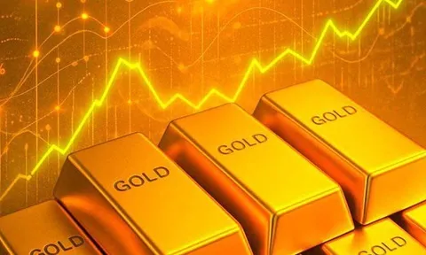 Nguồn gốc của gần 30kg vàng tinh khiết vừa được tỉnh Hà Tĩnh rao bán có từ đâu?