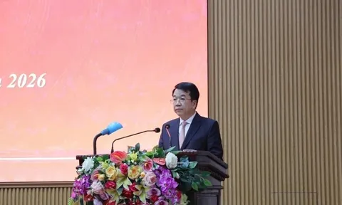 Thủ tướng phê chuẩn kết quả bầu, miễn nhiệm nhân sự ở TPHCM và Ninh Bình