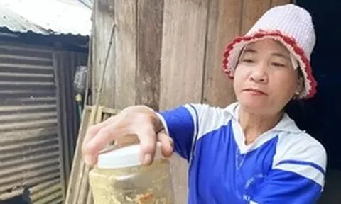 Hé lộ nguyên nhân món cá ủ chua khiến 3 trẻ ở Đà Nẵng nguy kịch phải nhờ sự trợ giúp từ WHO