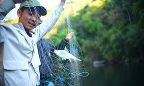 Ngược dòng sông Krông Nô săn loài cá quý hiếm ở Lâm Đồng cùng bà con K'Ho