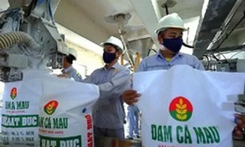 Cổ phiếu phân bón “ngược dòng” thị trường, thu hút mạnh dòng tiền “bắt đáy”