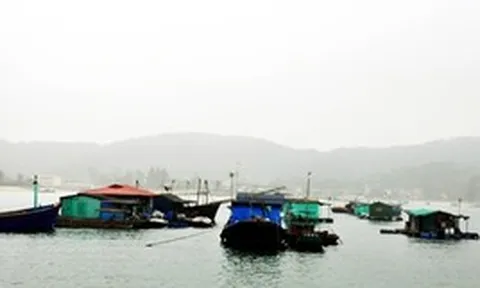 Dông lốc đánh lật tàu cá tại Đặc khu Cô Tô, 2 mẹ con tử vong