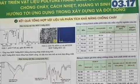 Viện Hóa học nói gì về dự án đoạt giải nhất cuộc thi KHKT cấp quốc gia nghi đạo văn?