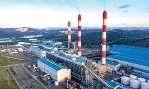 Vụ 'phù phép' dữ liệu quan trắc môi trường: Phải truy đến cùng đường đi của lợi ích