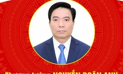 Tiểu sử Thượng tướng Nguyễn Doãn Anh, Phó Chủ tịch Quốc hội khóa XVI