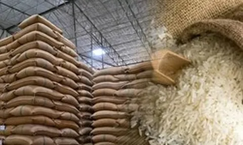 Hoa Kỳ đang bán gạo khắp châu Á: Hàn Quốc chốt đơn 11.000 tấn, Indonesia nhập 1.000 tấn - nguồn gạo từ đâu ra?