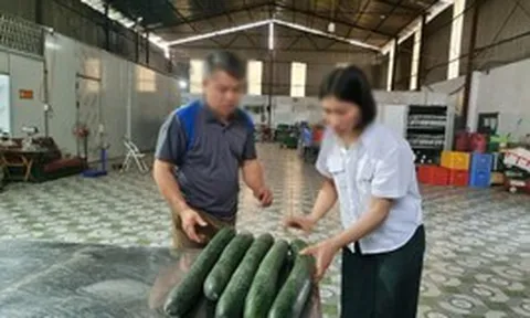 Cơ sở đưa thịt lợn nhiễm dịch tả vào trường mầm non bị phạt 22,5 triệu đồng