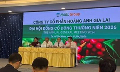 Bầu Đức: Ai có tiền cứ mua cổ phiếu HAG giống tôi, nếu 1–2 năm nữa mà lỗ cứ kêu tôi ra chửi