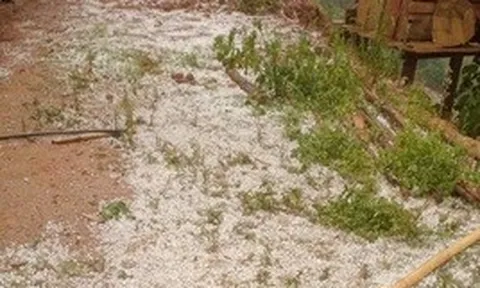 Mưa đá dày đặc ở Sơn La, đồi núi trắng xóa sau cơn dông