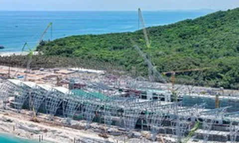 Điểm nhấn chưa từng có tại Trung tâm Hội nghị APEC: Không gian 11.000 m2 không một cột giữa