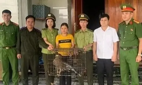 Động vật 'lạ' xuất hiện trong khu dân cư