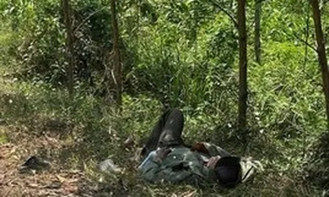 Cụ ông 79 tuổi mang "thỏi vàng" nằm lả bên vệ đường ở giữa rừng tràm