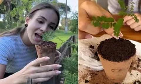 Cô gái trẻ ngày nào cũng ăn đất sét, bí ẩn phía sau khiến hàng triệu người choáng váng