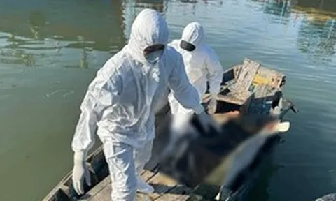 Phát hiện thi thể 1 người đàn ông khoảng 50 tuổi tại ụ Ba Thám
