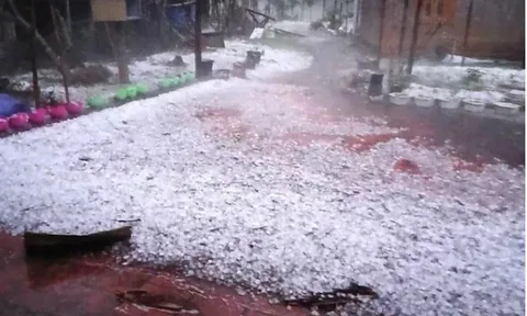 Hơn 2.000 nhà tốc mái, 12 người bị thương, hàng nghìn hecta hoa màu tan hoang sau mưa đá, lốc xoáy