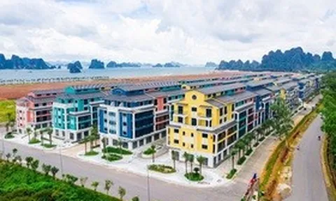 CEO Group đang "găm" gì trong 1.474 tỷ đồng tồn kho?