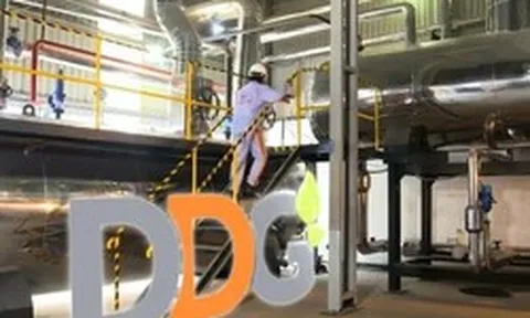DDG đối diện nguy cơ hủy niêm yết sau chuỗi kinh doanh thua lỗ kéo dài