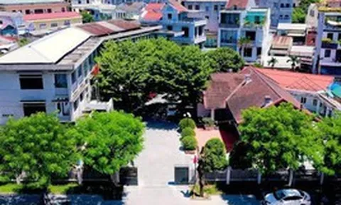 Lý do Giám đốc Sở Nông nghiệp và Môi trường TP Huế bị đề nghị kỷ luật